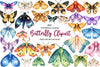 Butterfly Clipart Bundle 5