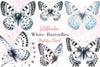 White Butterfly Floral Clipart Bundle