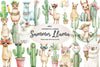 Adorable Summer Llama And Cactus Clipart Bundle