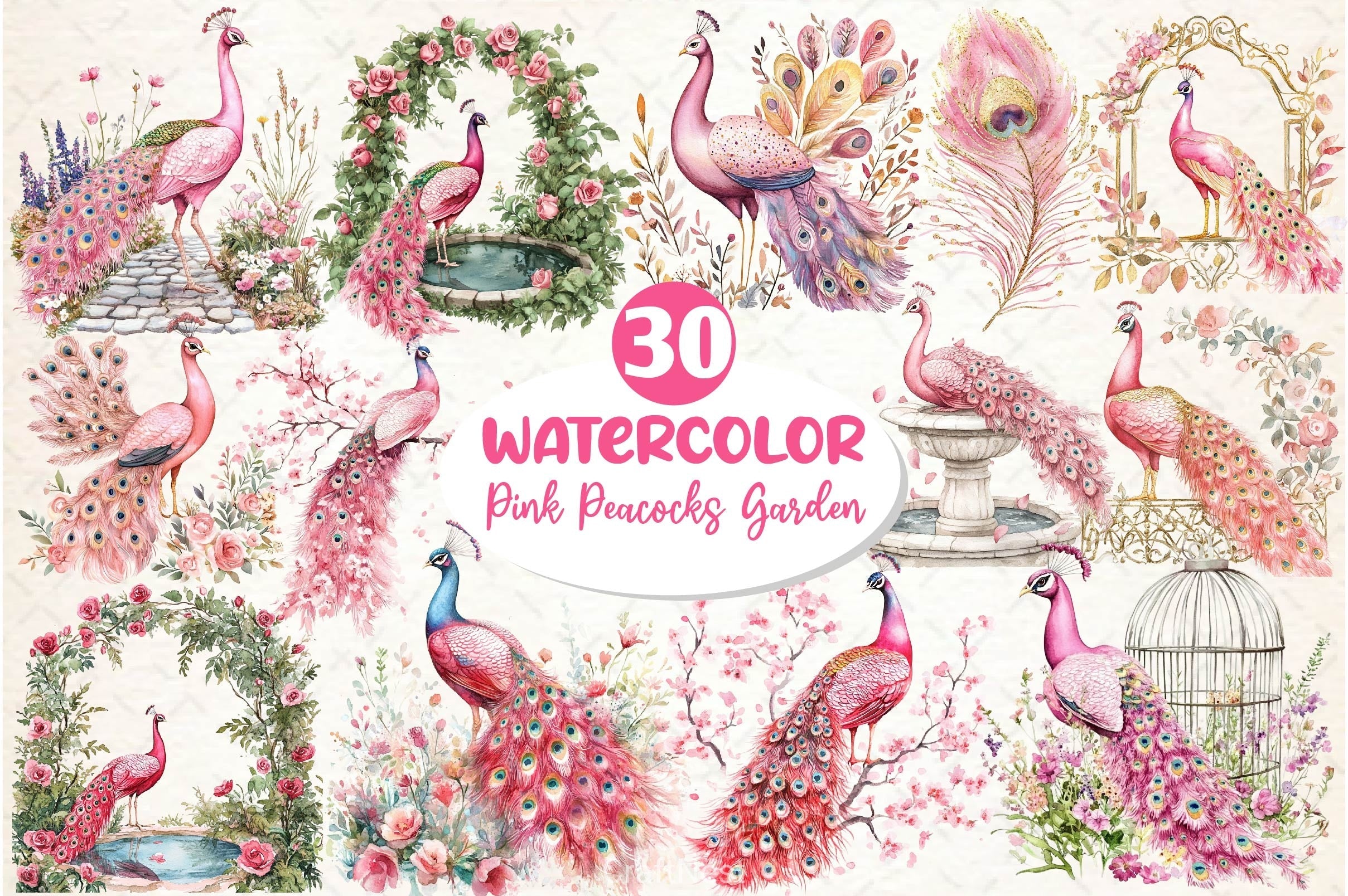 Pink Peacocks Garden Clipart Bundle 2