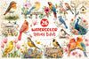 Spring Birds Clipart Bundle 5