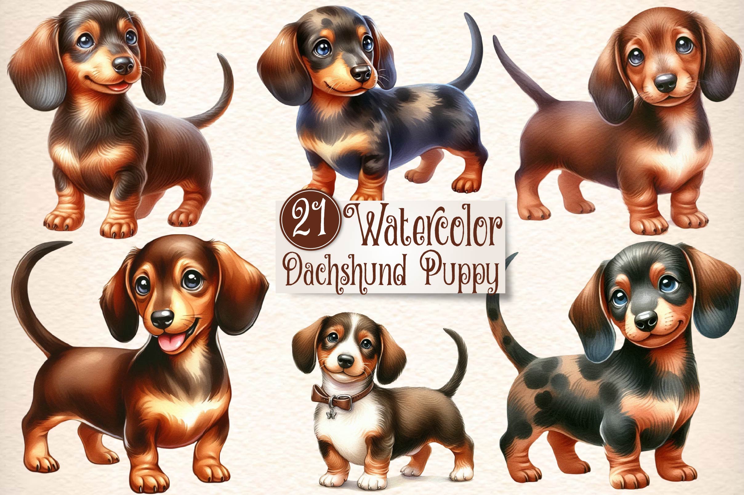 Dachshund Puppy Clipart Bundle