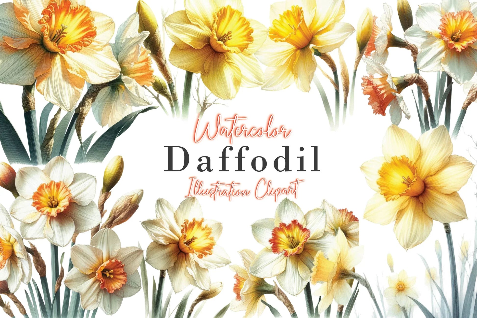 Daffodil Clipart Bundle - CraftNest - Digital Crafting and Art