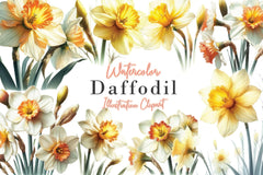 Daffodil Clipart Bundle - CraftNest - Digital Crafting and Art