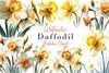 Daffodil Clipart Bundle