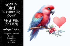 Bird Valentine's Day Clipart Bundle - CraftNest - Digital Crafting and Art