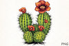 Western Cactus Clipart Bundle