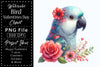 Bird Valentines Clipart Bundle