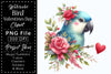 Bird Valentines Clipart Bundle