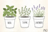 Potted Herbs Clipart Bundle