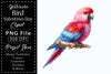 Bird Valentines Clipart Bundle