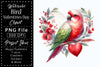 Bird Valentines Clipart Bundle