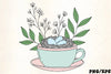 Birds Nest Eggs Teacup Spring Clipart Bundle