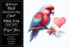 Bird Valentines Day Clipart Bundle