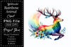 Rainbow Animals Clipart Bundle