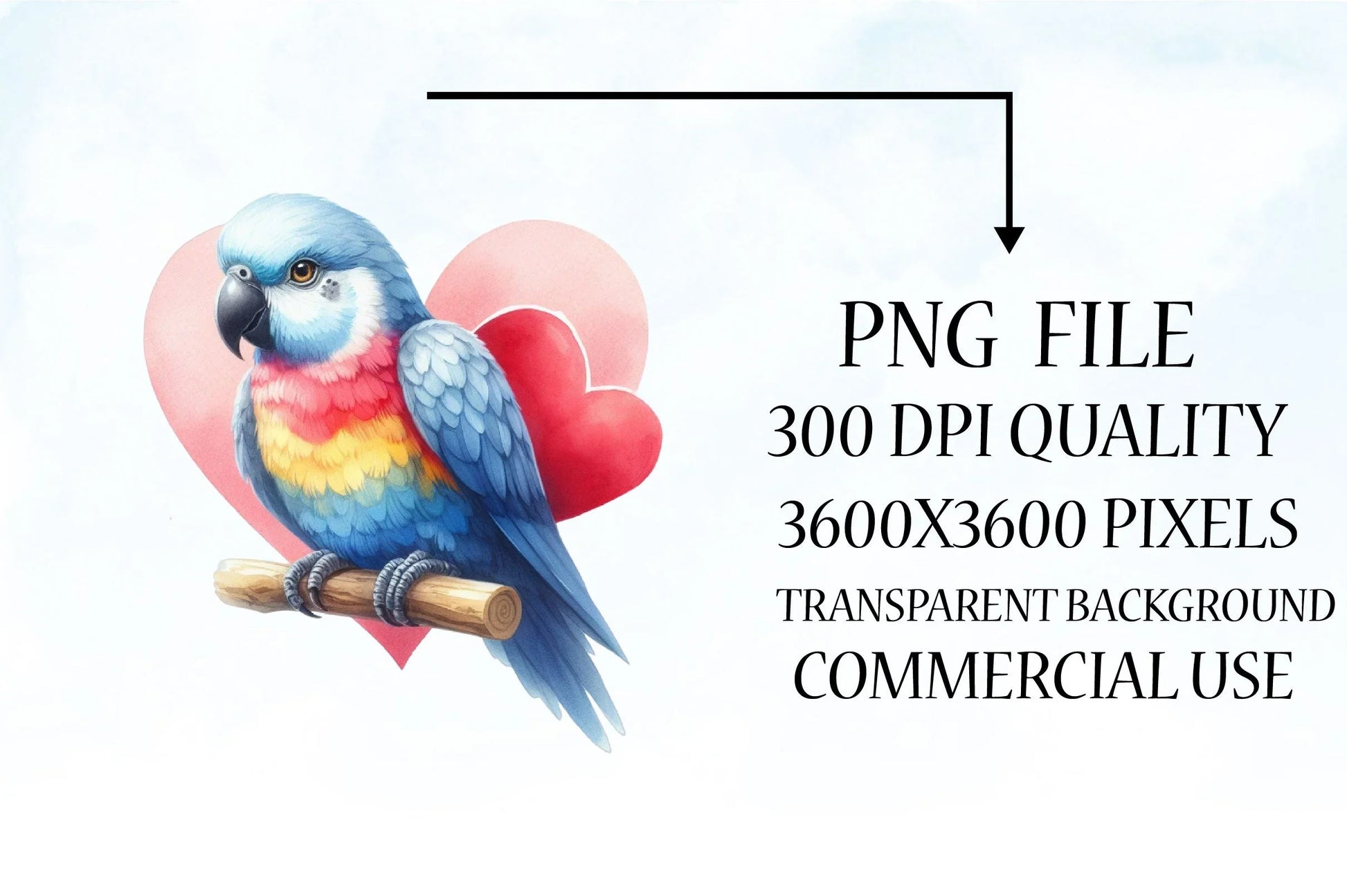 Bird Valentine's Day Clipart Bundle 2 - CraftNest - Digital Crafting and Art