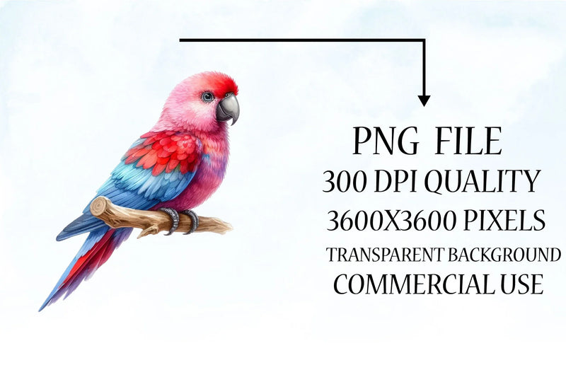 Bird Valentines Clipart Bundle 4 - CraftNest - Digital Crafting and Art