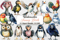 Funny Birds Clipart Collection Bundle - CraftNest - Digital Crafting and Art