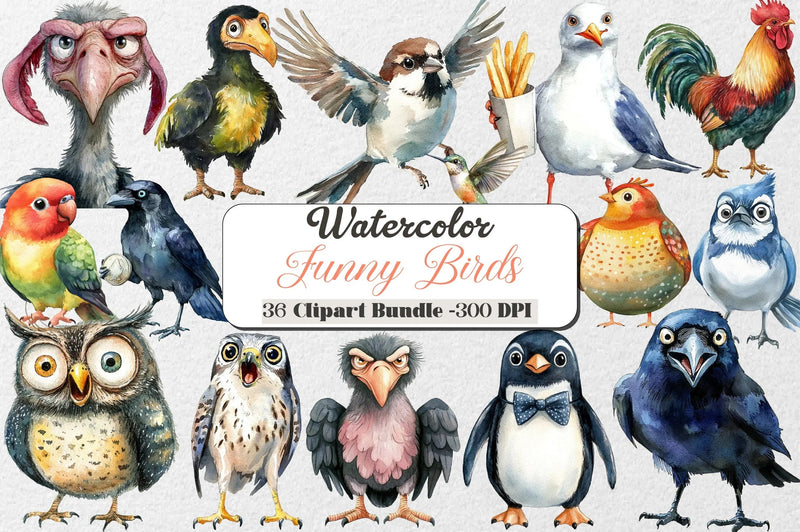 Funny Birds Clipart Collection Bundle - CraftNest - Digital Crafting and Art