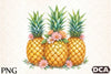 Summer Pineapple Clipart Bundle