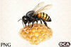 Honey Bee Clipart Bundle
