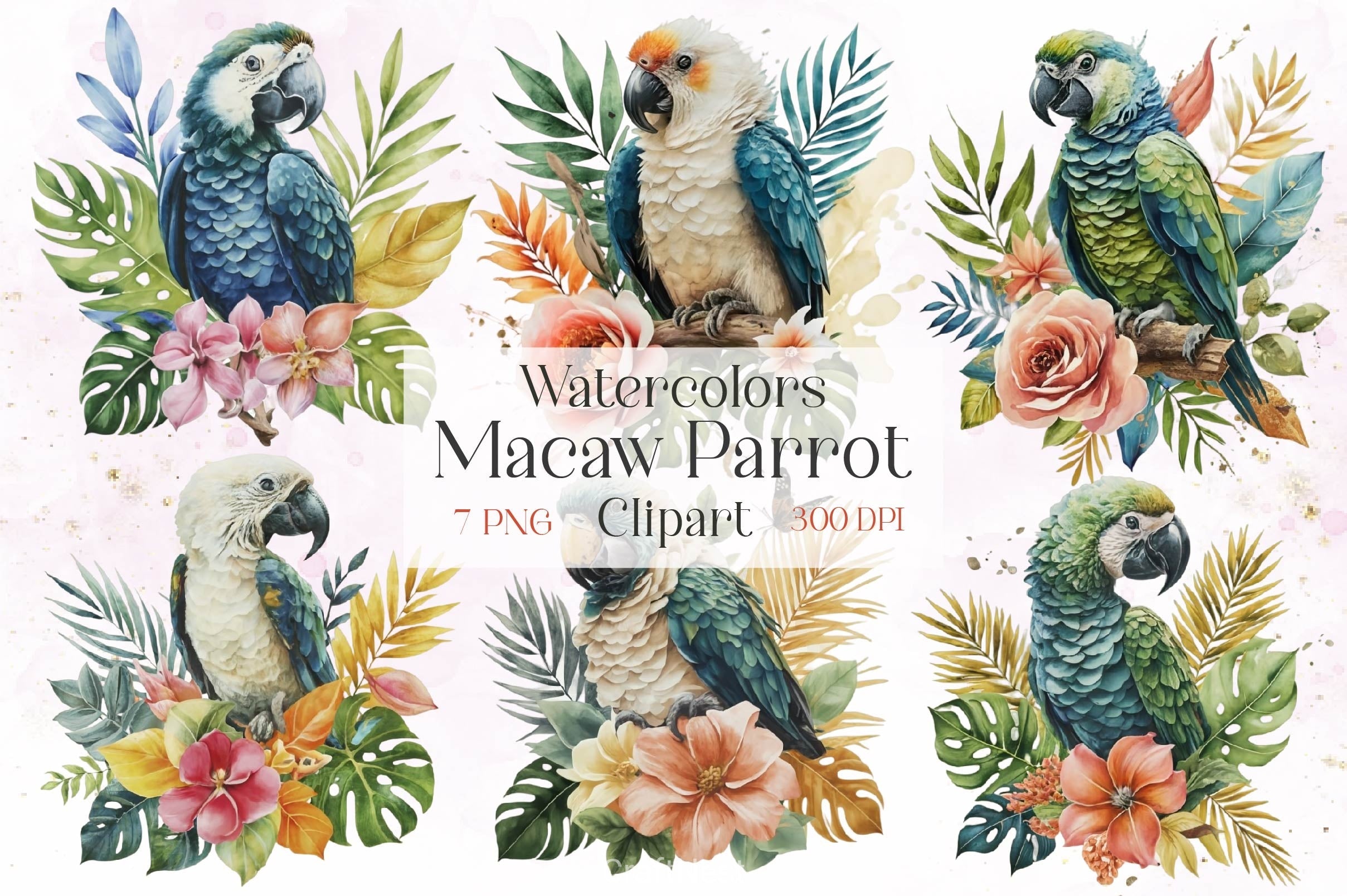 Macaw Parrot Clipart Bundle