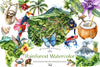 Rainforest Vintage Nature Clipart Bundle