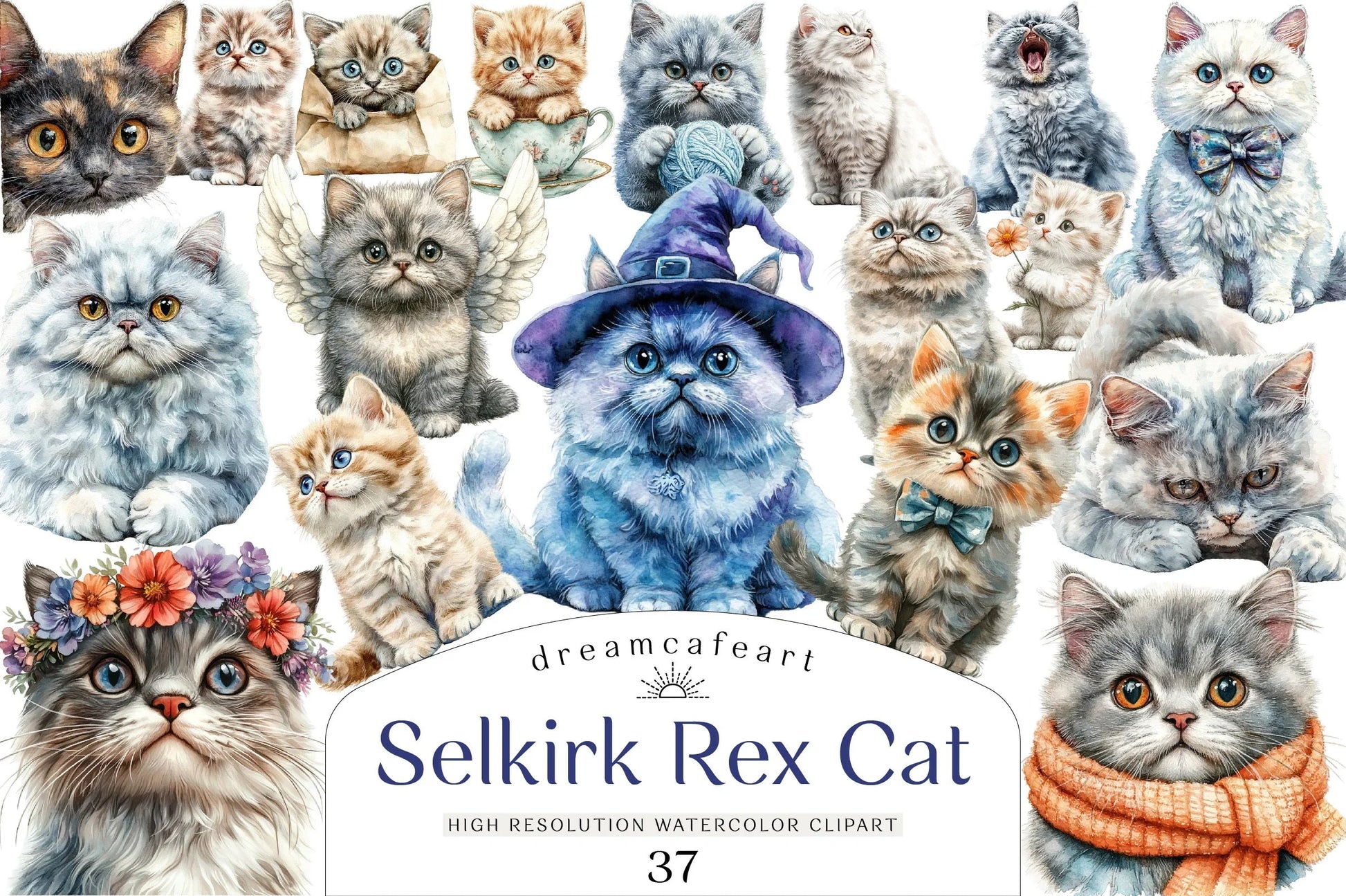 Selkirk Rex Cat Clipart Bundle - CraftNest - Digital Crafting and Art