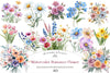 Romance Flower Clipart Bundle
