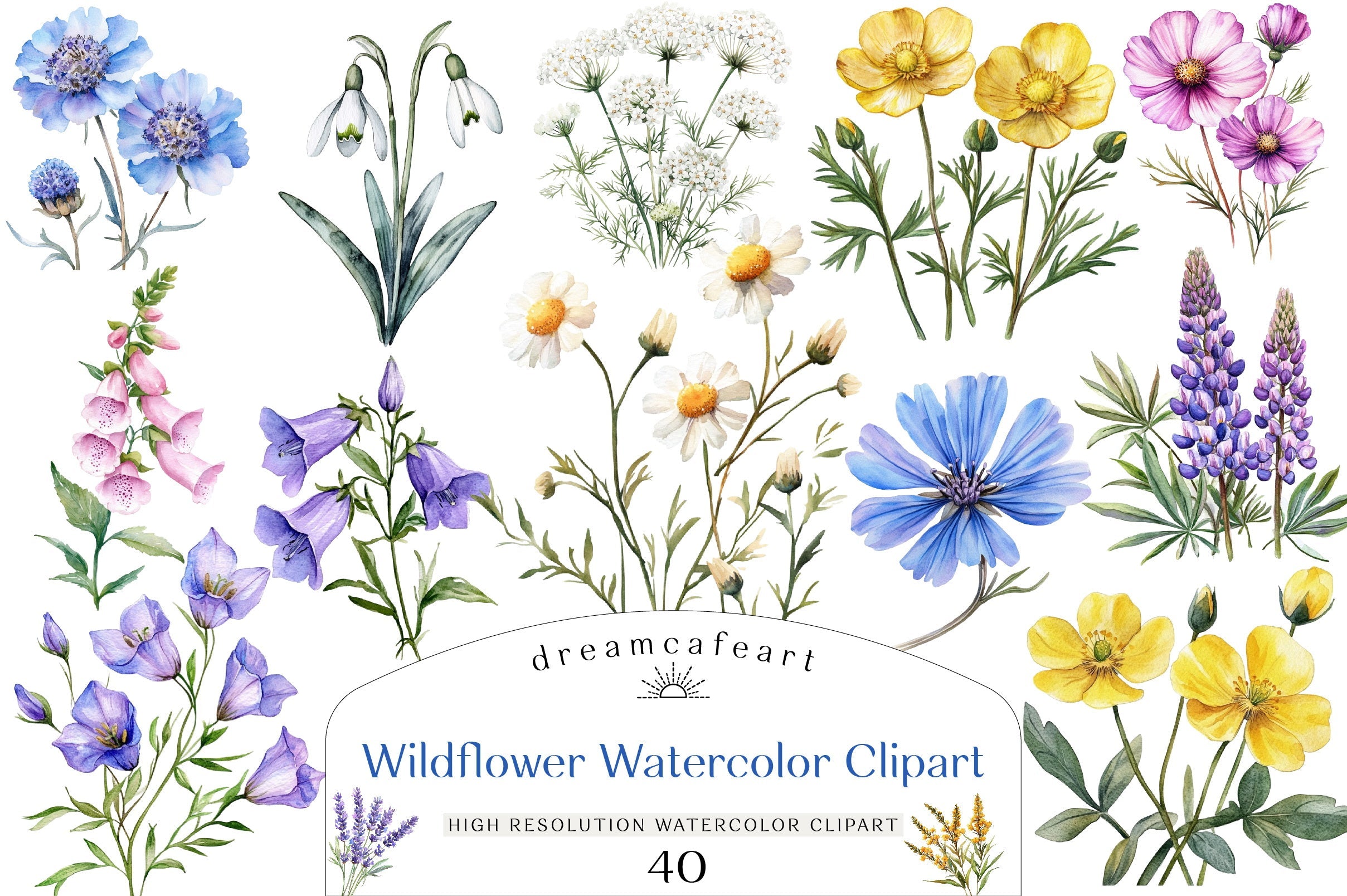 Wildflower Clipart Bundle