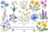 Wildflower Clipart Bundle