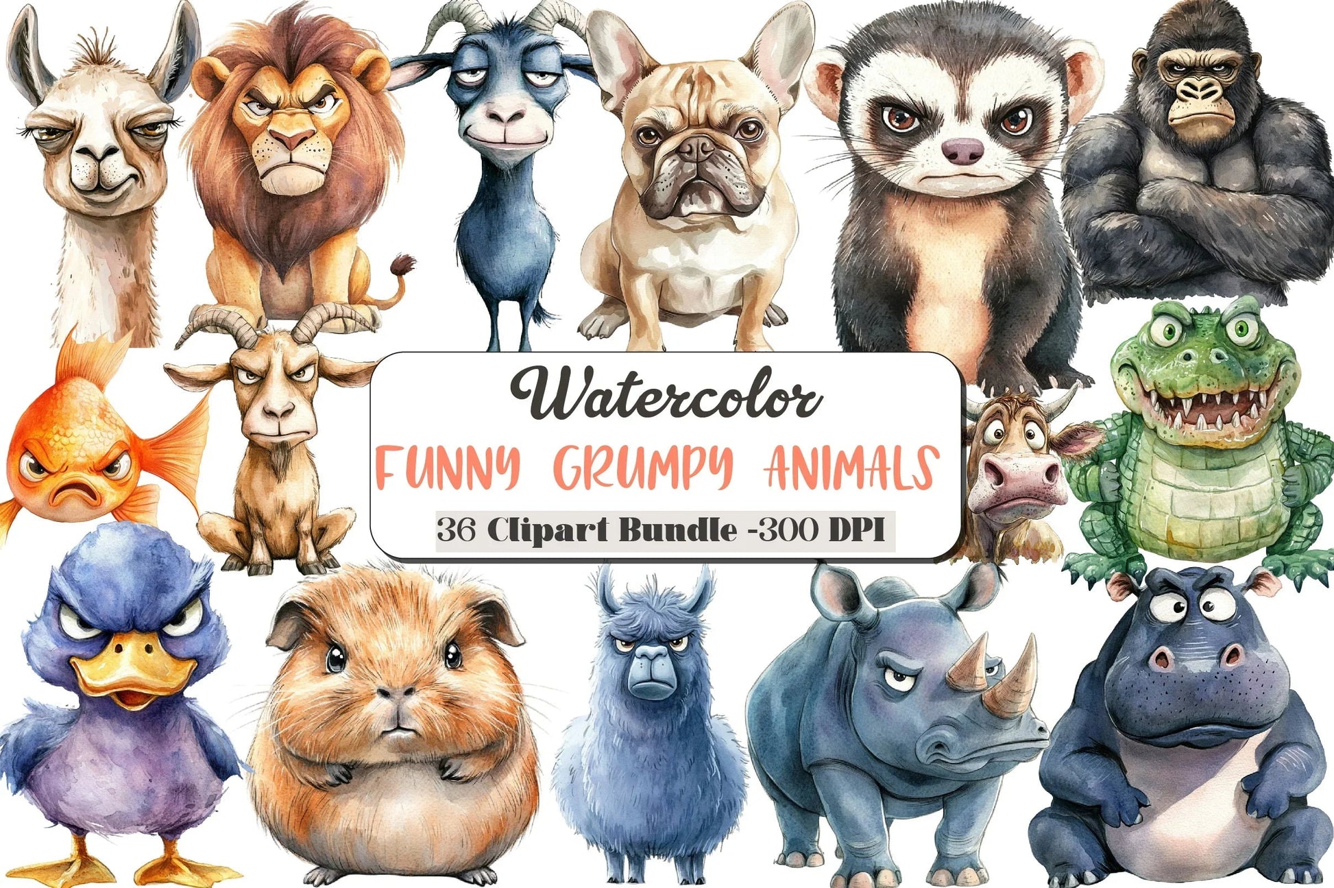 Grumpy Animals Clipart Bundle - Funny Collection - CraftNest - Digital Crafting and Art