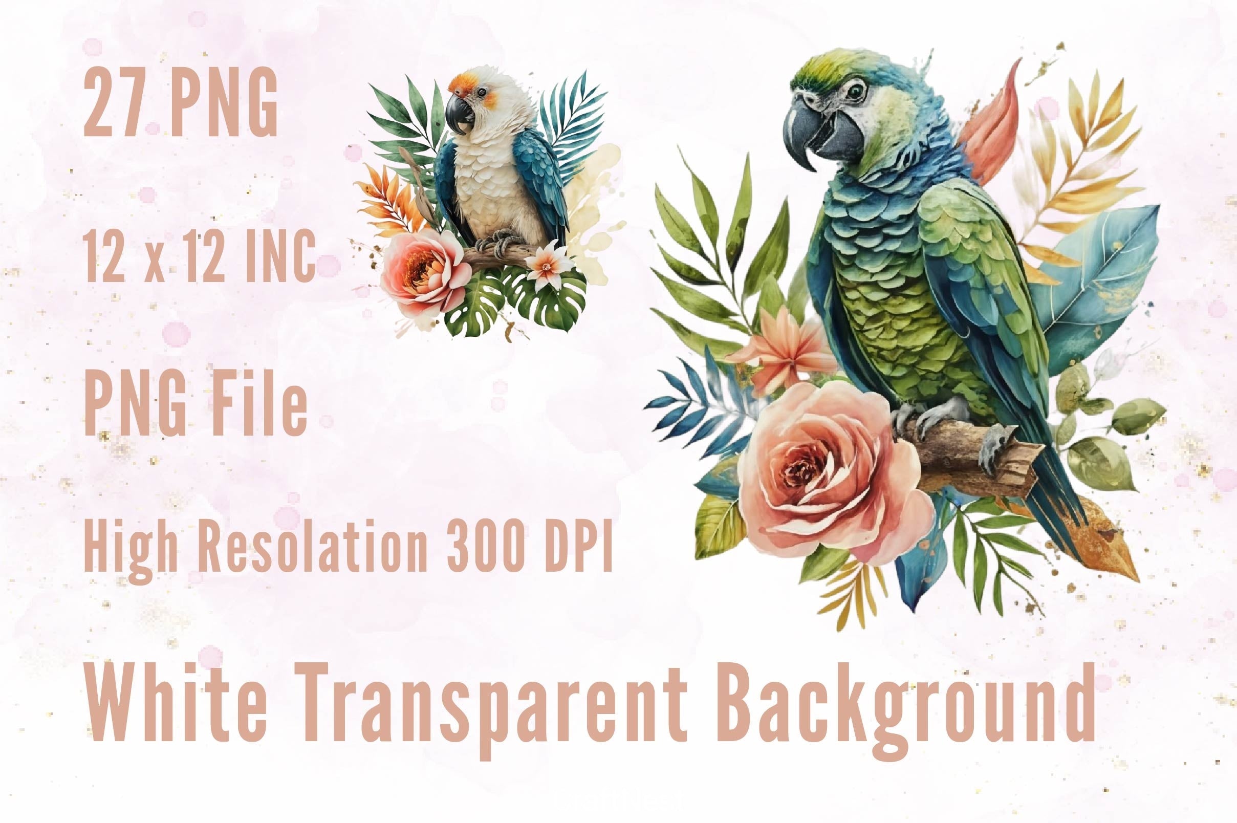 Macaw Parrot Clipart Bundle