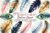Feathers Clipart Bundle