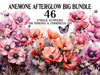Anemone Afterglow