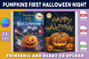 Pumpkin's First Halloween Night Book