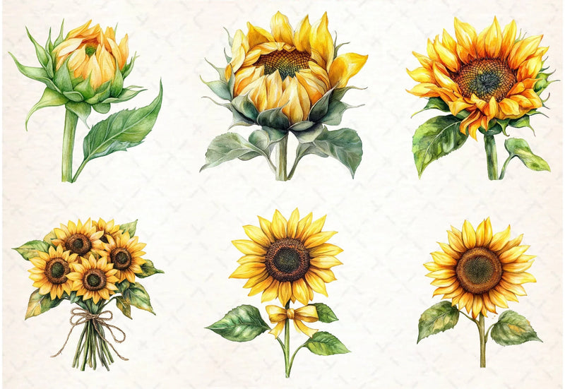 Sunflowers Clipart Bundle - CraftNest - Digital Crafting and Art