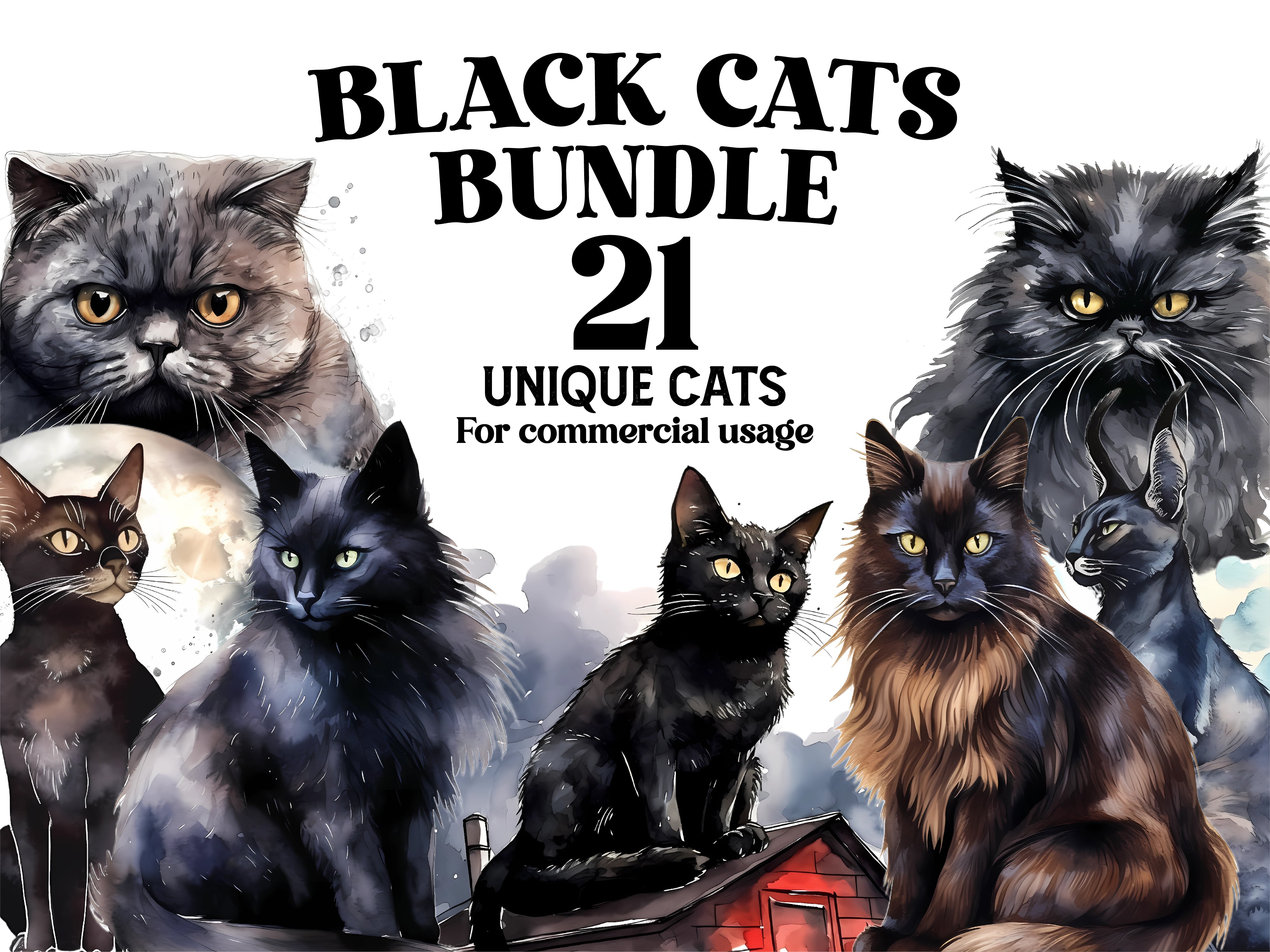 Black Cats
