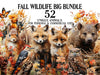 Fall Wildlife