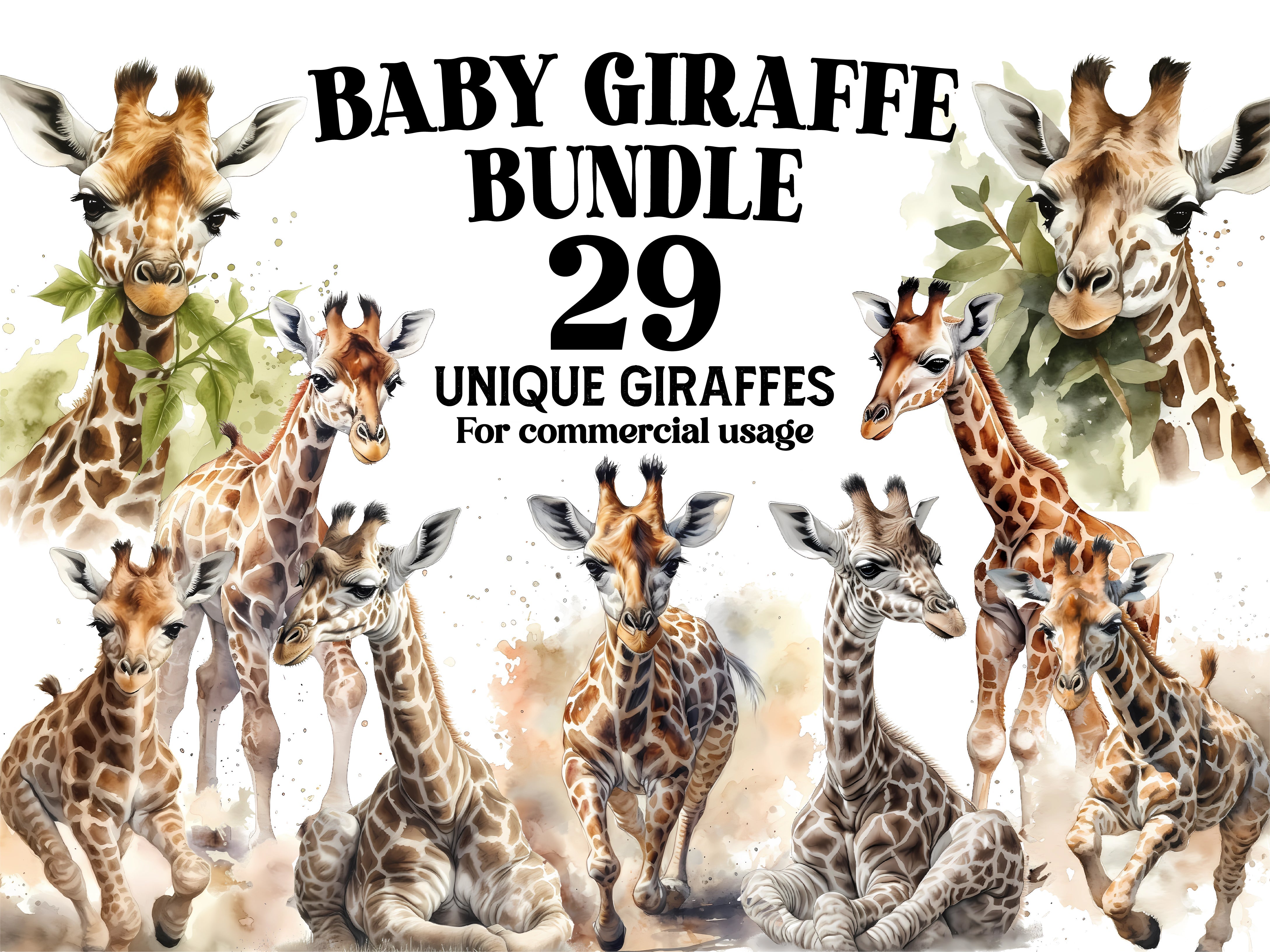 Baby Giraffes