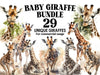 Baby Giraffes