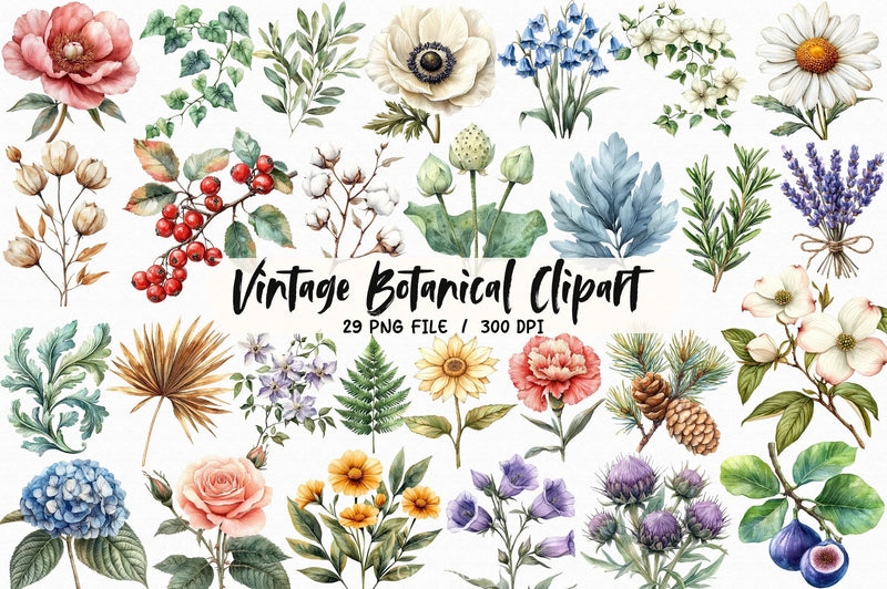 Vintage Botanical Clipart Bundle 3 - CraftNest - Digital Crafting and Art