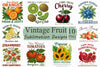 Vintage Fruit Clipart Bundle