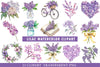 Lilac Clipart Bundle