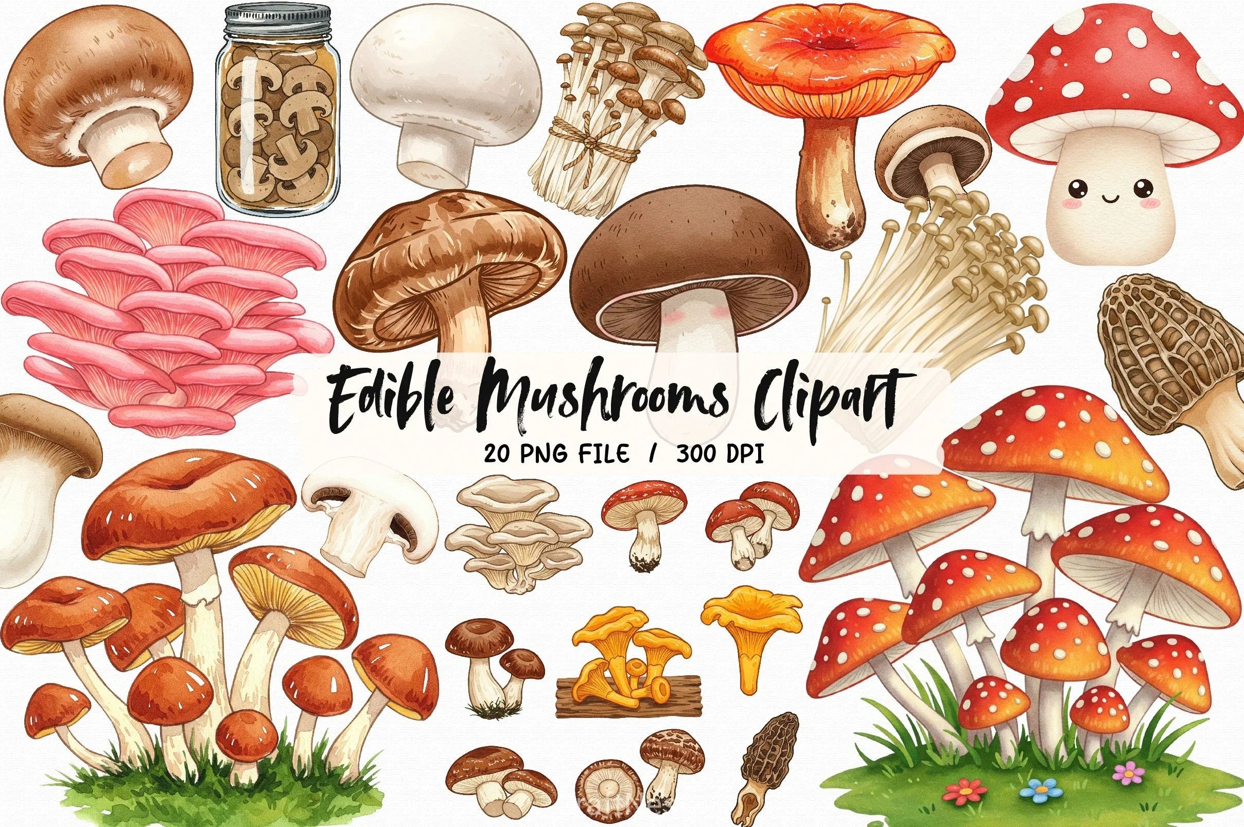 Edible Mushrooms Clipart Bundle 2 - CraftNest - Digital Crafting and Art