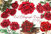 Red Lithograph Roses Clipart Bundle