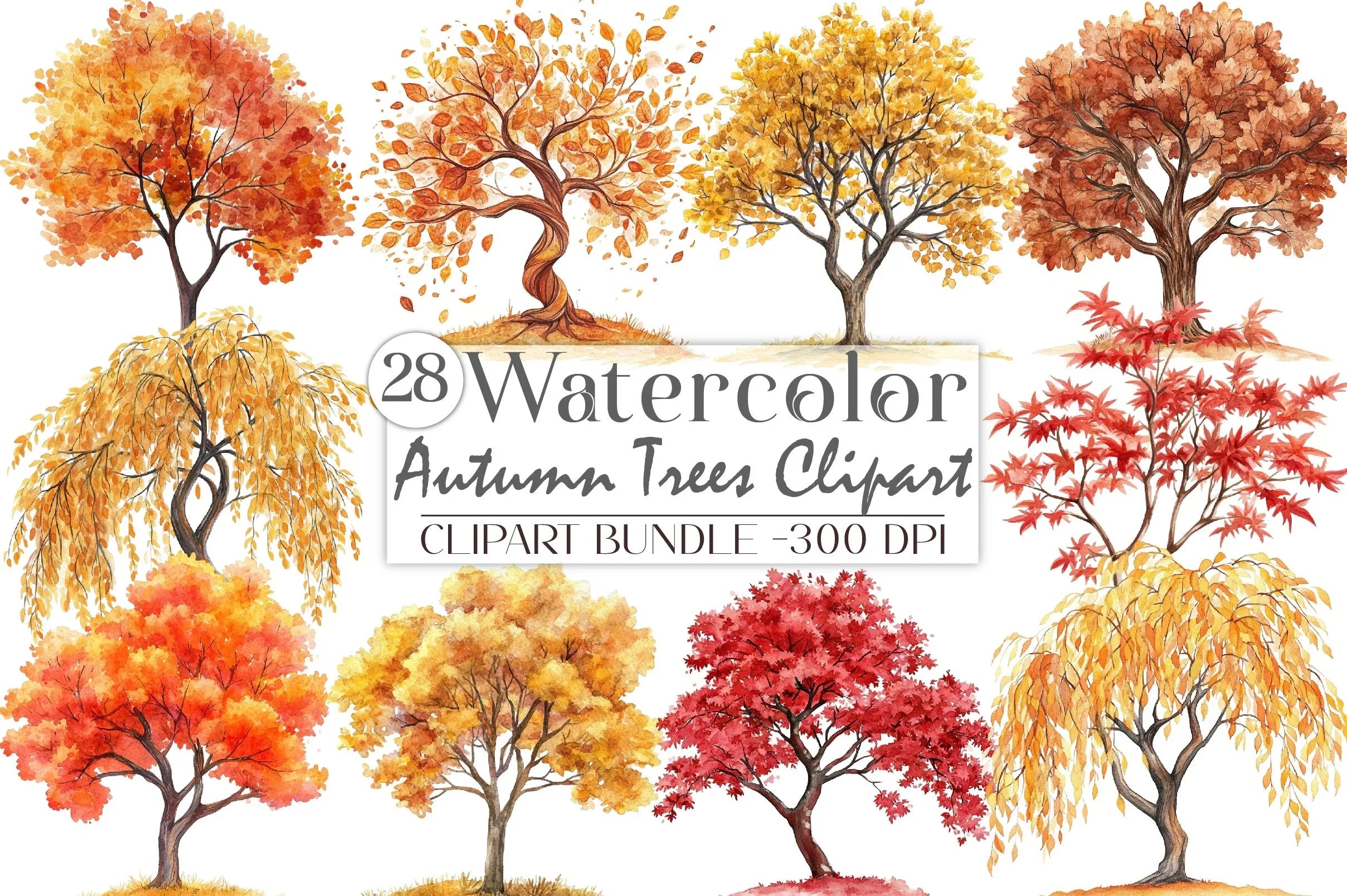 Autumn Trees Clipart Bundle 6 - CraftNest - Digital Crafting and Art