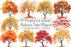 Autumn Trees Clipart Bundle