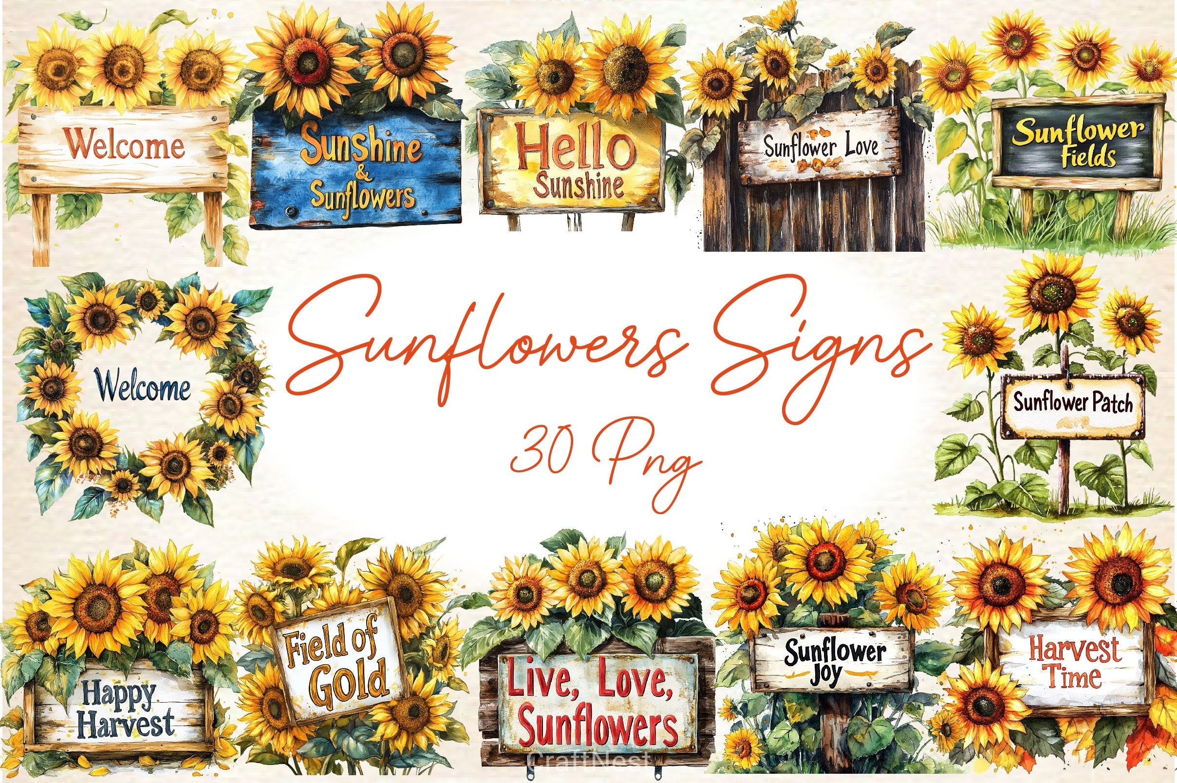 Summer Sunflowers Signs Clipart Bundle