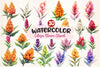 Celosia Flower Clipart Bundle 2
